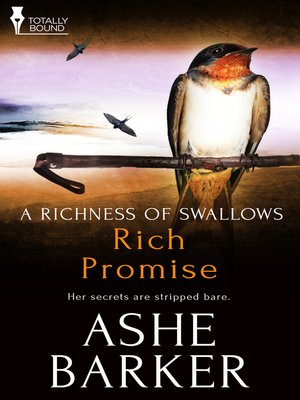 cover image of Rich Promise